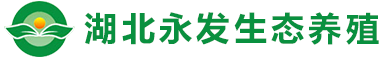 湖北茄子视频懂你更多APP生态茄子视频APP污视频有限公司